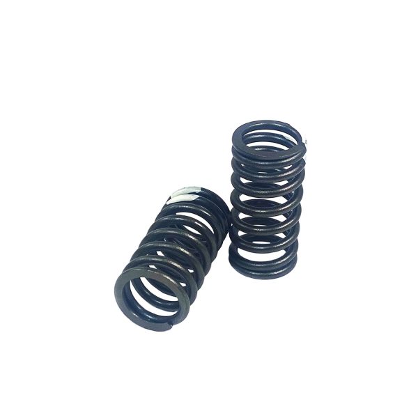 Valve Spring | Caterpillar 3066 | B5I-7740