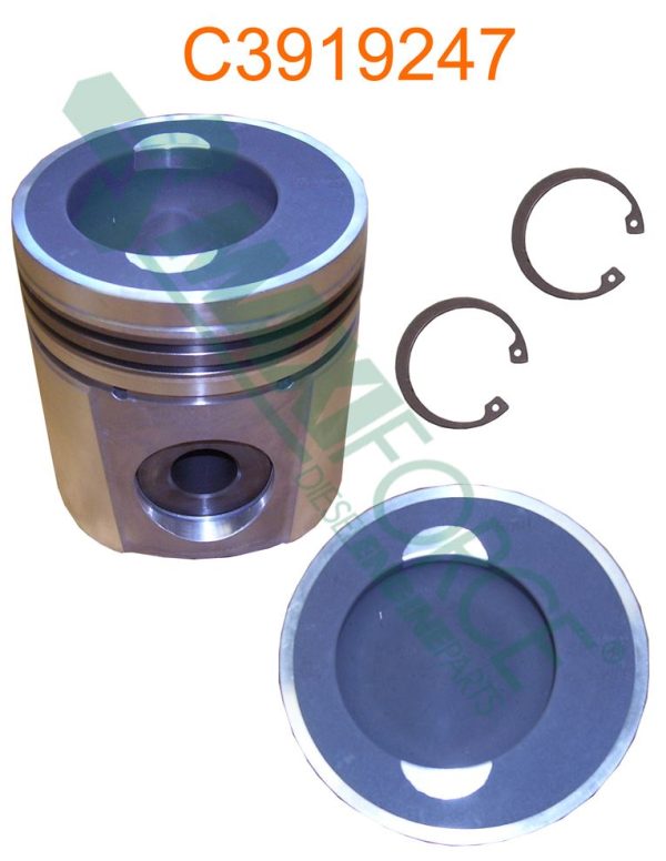 PISTON | Cummins 6C | C3919247