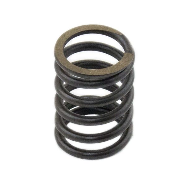 Valve Spring | 104-22 Perkins | P198216700