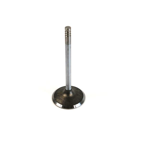 INTAKE VALVE | Perkins 704 | P3142H011