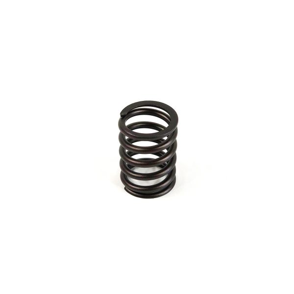 VALVE SPRING | Perkins 704 | P3174P408