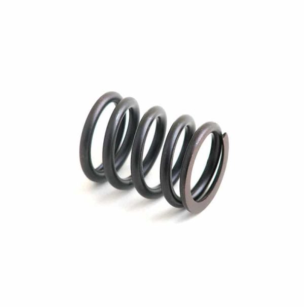 Valve Spring | 1004.42 Perkins | P3174P409