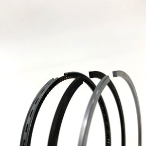 Ring Set std | 4TNE84 John Deere | TAM878555