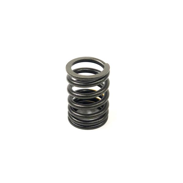 Valve Spring | 3TNE84 / 3015 John Deere | TM801222