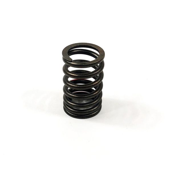 Valve Spring | 4TNV84T John Deere | TMIU800393