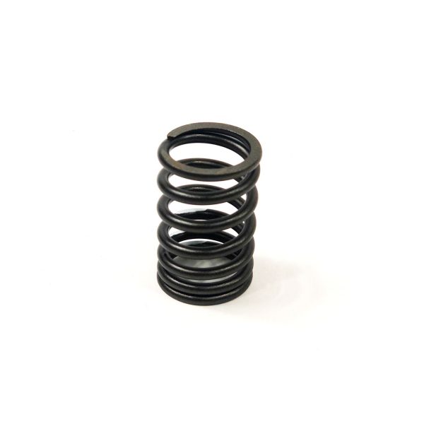 VALVE SPRING | John Deere 94/98 V | TMIU801068