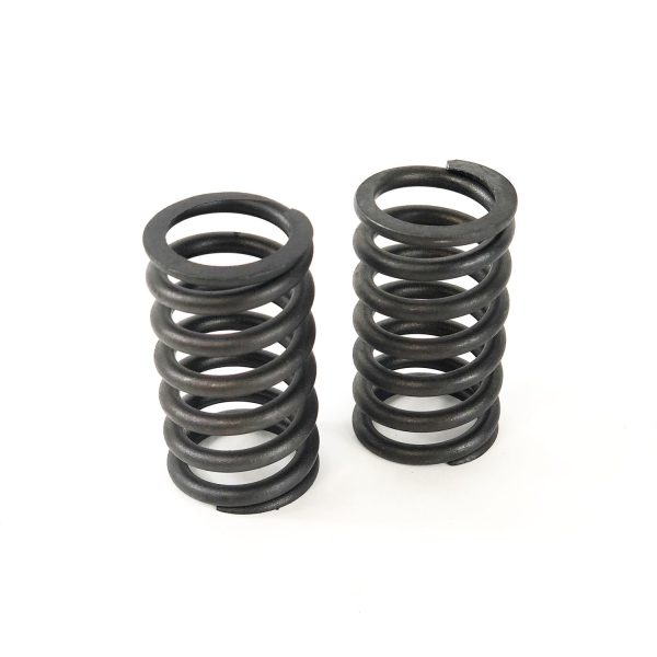 Valve Spring | 6.101A/T John Deere | TR91822