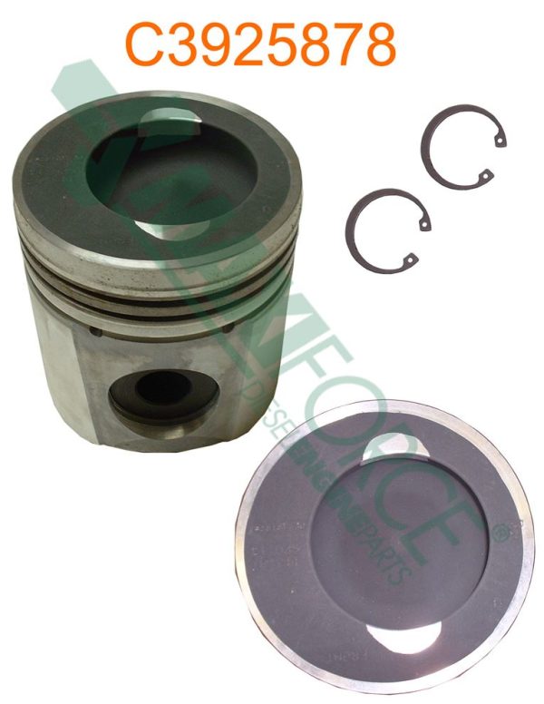 PISTON | Cummins C SERIES | C3925878